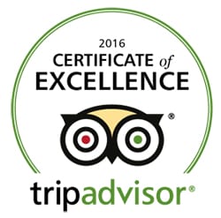 TripAdvisor