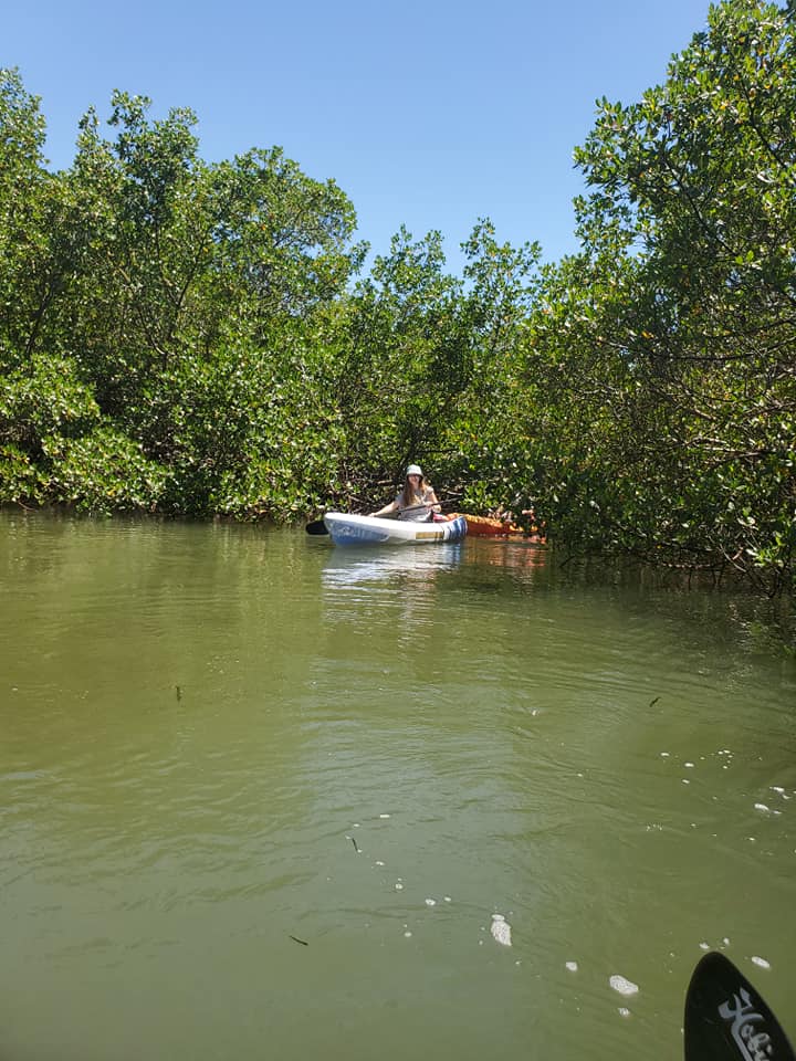 Kayak Guided Tours Cape Coral