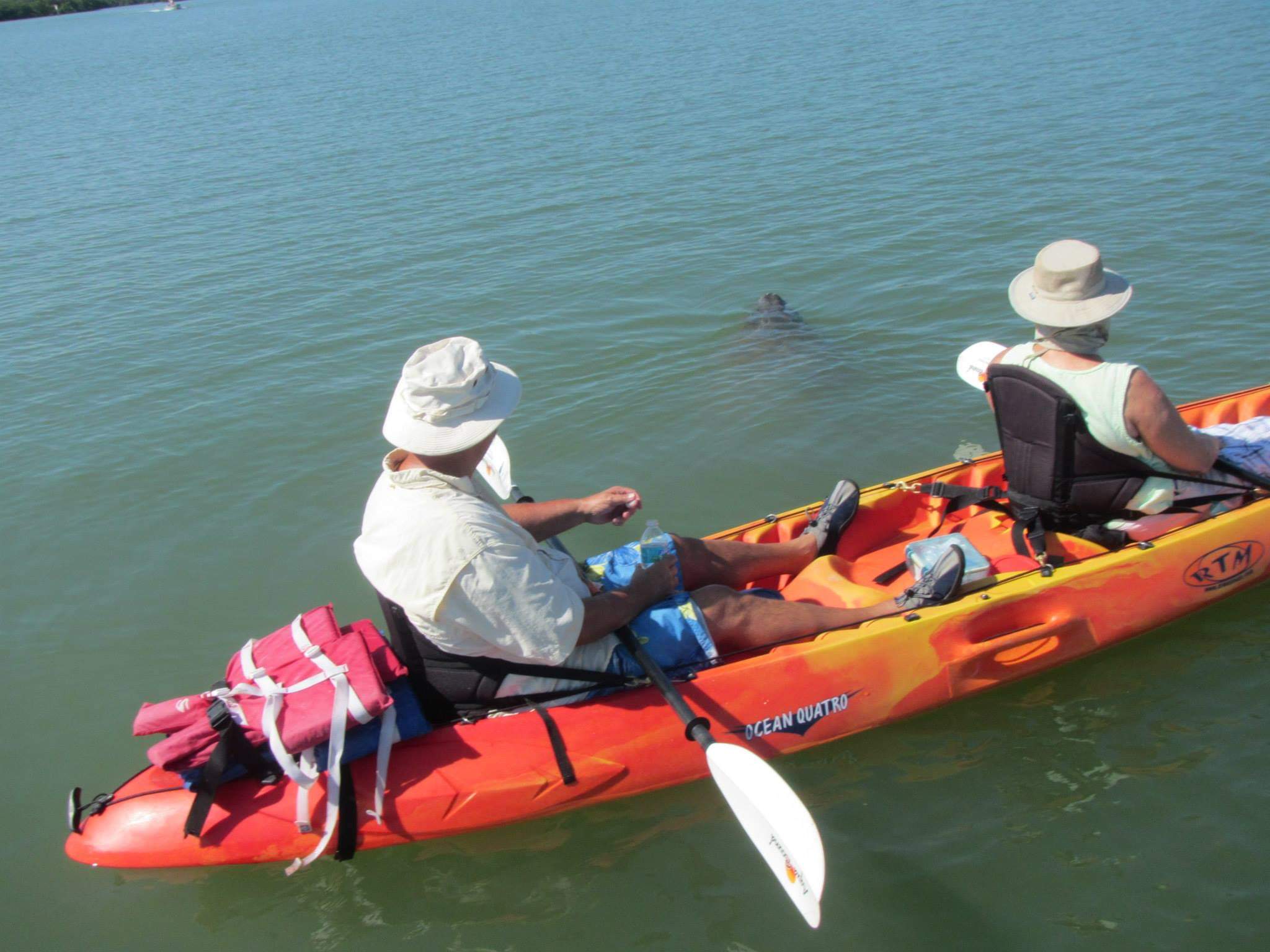 Kayak Rentals Cape Coral