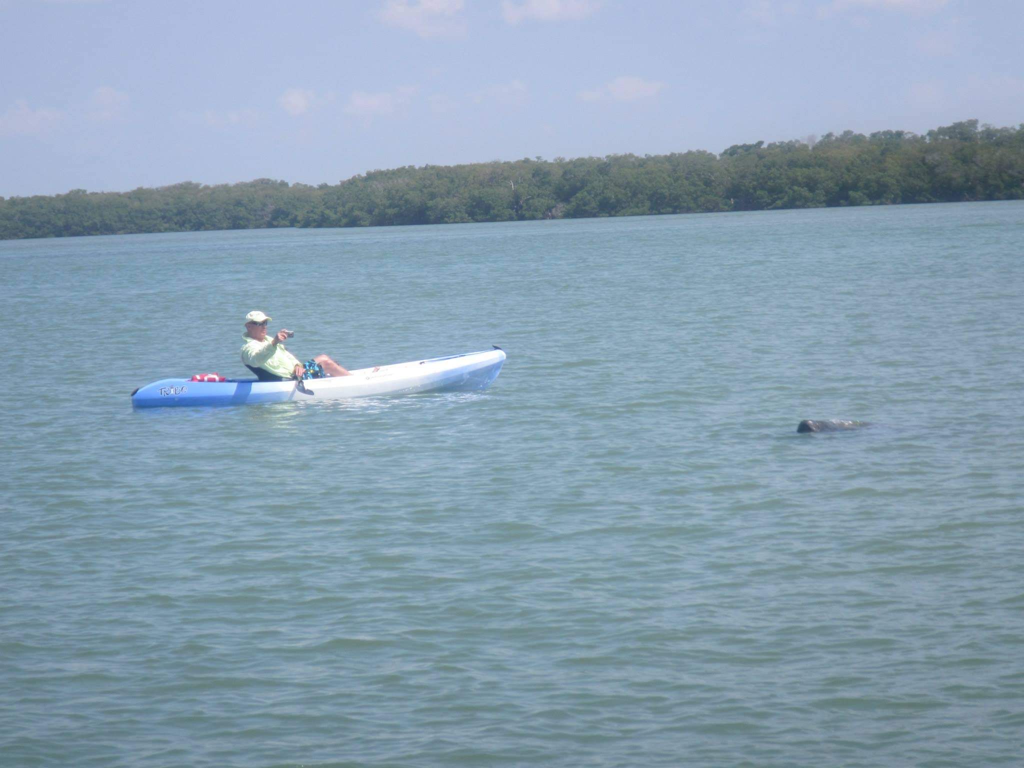 Eco Guided Tours Cape Coral