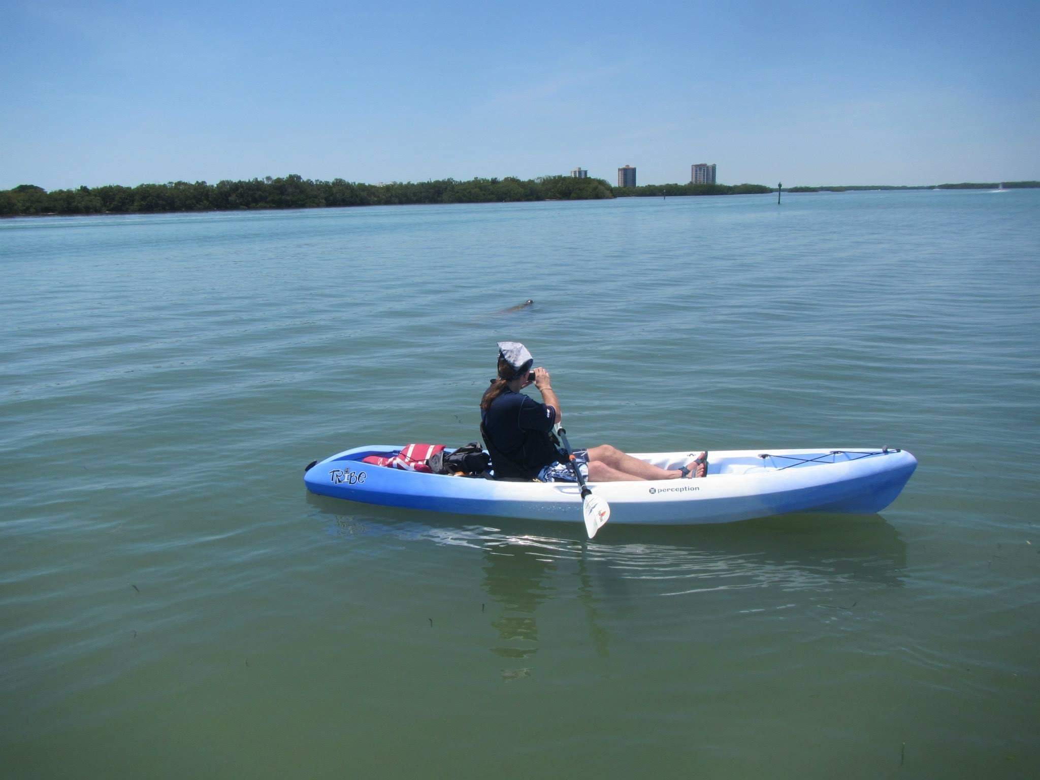 Kayak Guided Tours Cape Coral