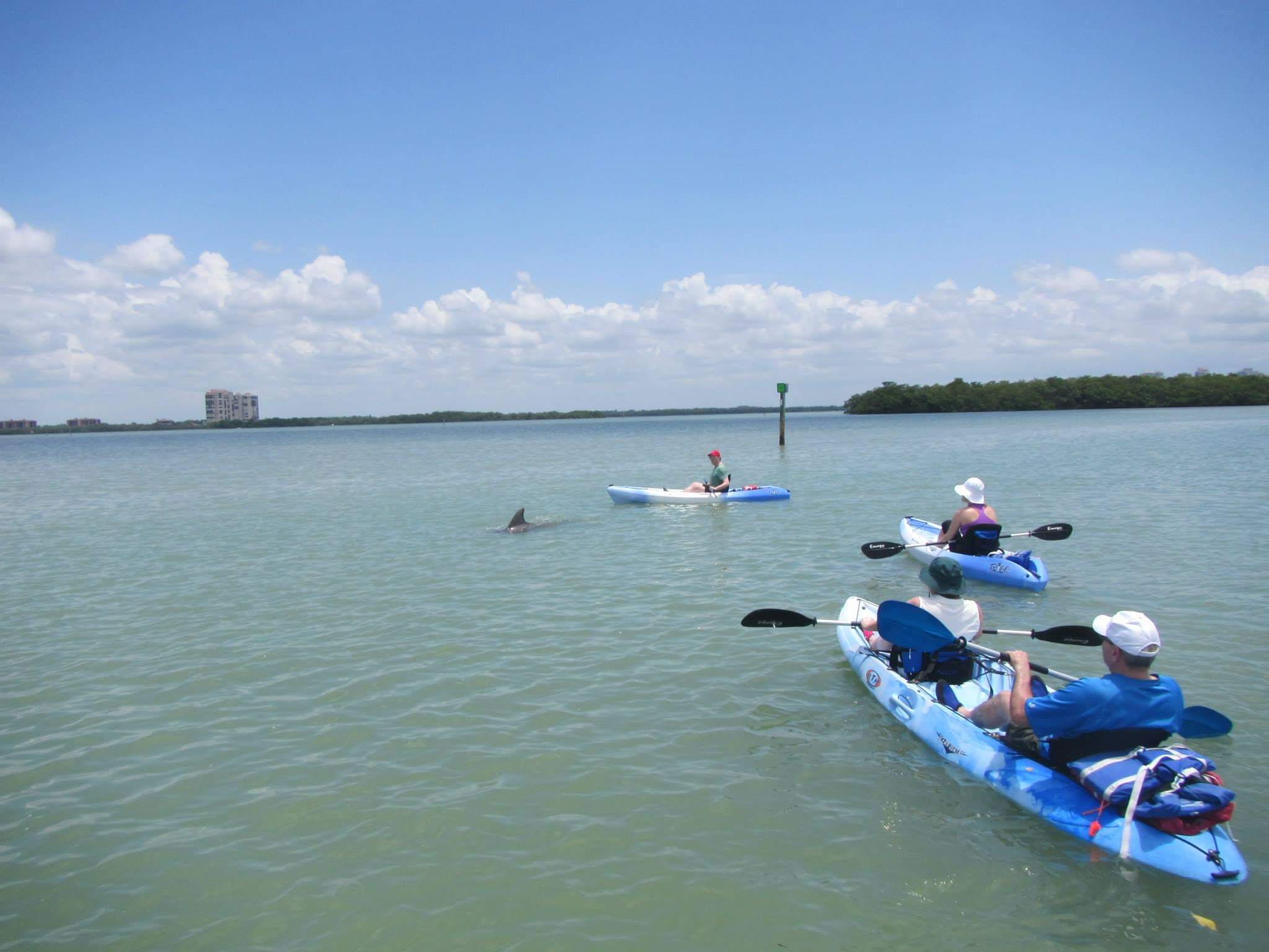 Kayak Guided Tours Fort Myers