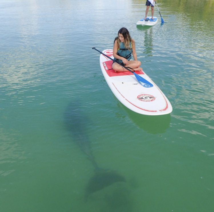 Our Team - Cape Coral Kayak Rentals and Kayak Tours